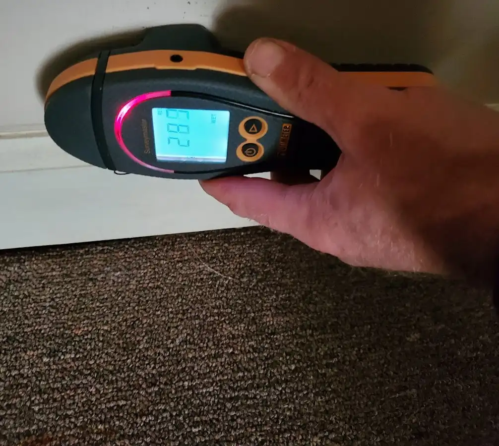 Moisture detection at baseboard during Sewage Cleanup & Sanitation in Lenoir